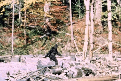 Bigfoot “Sightings” Surprise Trail Users on Leadville’s Mineral Belt